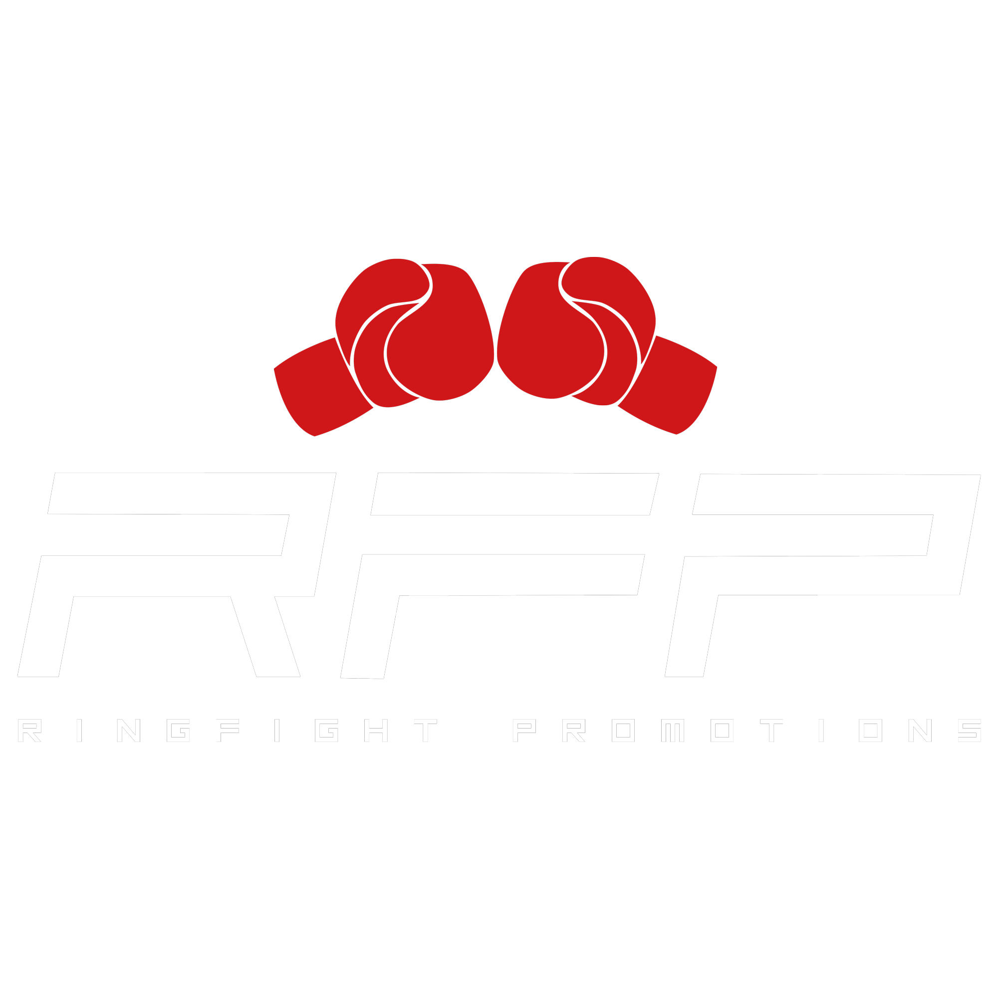 RingFight Promotions